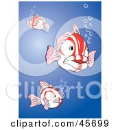 Royalty Free RF Clipart Illustration Of Three White And Red Fish With Bubbles Swimming In The Blue Sea