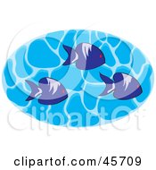 Group Of Three Marine Fish Swimming In Rippling Water