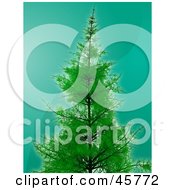 Poster, Art Print Of Lush And Tall Evergreen Pine Tree Growing Over A Wavy Teal Background