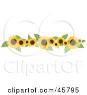 Border Or Header Of Yellow Sunflowers And Leaves