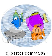 School Of Saltwater Fish Clipart