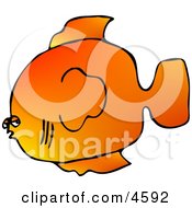 Orange Saltwater Fish Clipart