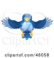 Poster, Art Print Of Blue Bird Flying Forward