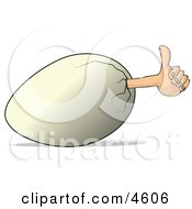 Concept Of Thumbs Up Egg Clipart