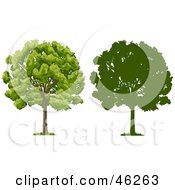 Poster, Art Print Of Digital Collage Of Two Park Trees One In Silhouette