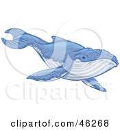 Poster, Art Print Of Endangered Blue Whale Swimming