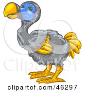 Poster, Art Print Of Extinct Gray Blue And Orange Dodo Bird