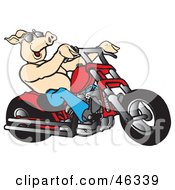 Clipart Illustration Of A Happy Shirtless Pig In Shades Riding A Red Chopper by Snowy #COLLC46339-0092