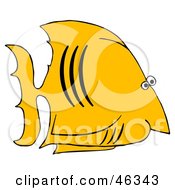 Poster, Art Print Of Yellow Salt Water Fish With Black Gills