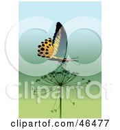 Poster, Art Print Of Majestic Yellow Butterfly Drinking Nectar From A Milkweed Flower