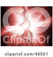 Royalty Free RF Clipart Illustration Of A Bright Red Bursting Background Behind A Strand Of DNA