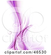 Poster, Art Print Of Purple Vine Background With Curly Tendrils On White
