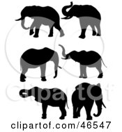 Poster, Art Print Of Digital Collage Of Elephant Black Silhouettes