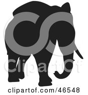 Poster, Art Print Of Elephant Walking Forward Black Silhouette On White