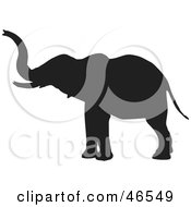 Poster, Art Print Of Elephant Extending His Trunk Black Silhouette On White