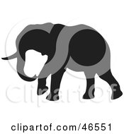 Poster, Art Print Of Elephant Walking Black Silhouette On White