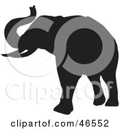 Royalty Free RF Clipart Illustration Of An Elephant Raising His Trunk Black Silhouette On White by KJ Pargeter