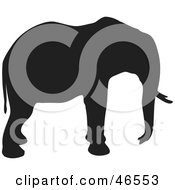 Poster, Art Print Of Elephant Profile Black Silhouette On White