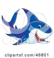 Poster, Art Print Of Blue And White Shark Grinning