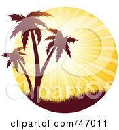 Bright Orange Sunset Burst Silhouetting Tropical Palm Trees