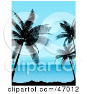 Tropical Summer Scene Of Blue Waters And Silhouetted Palm Trees
