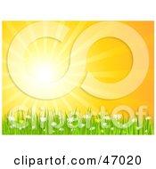 Royalty Free RF Clipart Illustration Of A Bright Summer Sun Burst Over Daisy Flowers And Grass by KJ Pargeter #COLLC47020-0055
