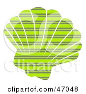 Striped Patterned Green Scallop Sea Shell