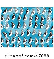 Poster, Art Print Of Blue Background Of Waddling Penguins