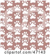 Patterned Background Of White Paw Prints