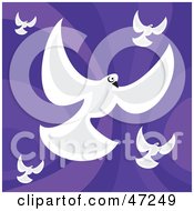 Poster, Art Print Of White Doves On A Purple Swirl Background