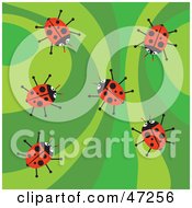 Retro Green Background With Ladybugs