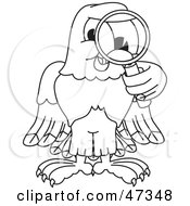 Poster, Art Print Of Bald Eagle Hawk Or Falcon Inspecting Outline