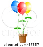 Colorful Flower Balloons In A Pot