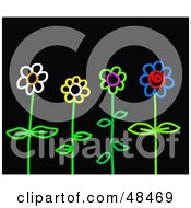 Poster, Art Print Of Colorful Stick Flowers On Black