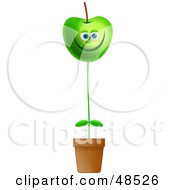 Happy Green Apple Potted Plant