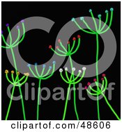 Poster, Art Print Of Stick Plants With Colorful Blossoms On Black