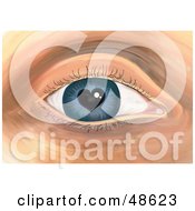 Poster, Art Print Of Human Eye With A Heart Shaped Iris