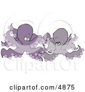 Two Purple Octopuses