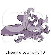 Bottom-Living Cephalopod Octopus With A Soft Oval Body With Eight Long Tentacles