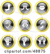 Royalty Free RF Clipart Illustration Of A Digital Collage Of Black White And Yellow Anatomy Icons by Prawny