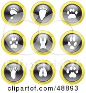 Poster, Art Print Of Digital Collage Of Black White And Yellow Animal Track Icons