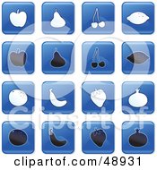 Poster, Art Print Of Digital Collage Of Square Blue Black And White Fruit Icons