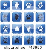 Poster, Art Print Of Digital Collage Of Square Blue Black And White Animal Track Icons