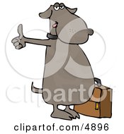 Poster, Art Print Of Human-Like Dog Hitchhiking For An Automobile Ride