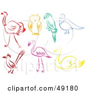 Digital Collage Of Colorful Bird Outlines