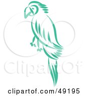 Royalty Free RF Clipart Illustration Of A Green Parrot
