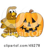 Hawk Mascot Character With A Pumpkin