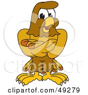 Hawk Mascot Character With His Arms Crossed
