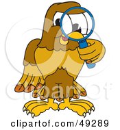Poster, Art Print Of Hawk Mascot Character Using A Magnifying Glass