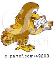 Poster, Art Print Of Hawk Mascot Character Reading